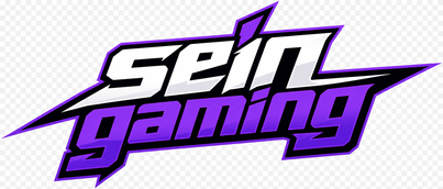 Sein Gaming